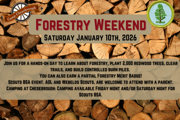 Forestry weekend 2026