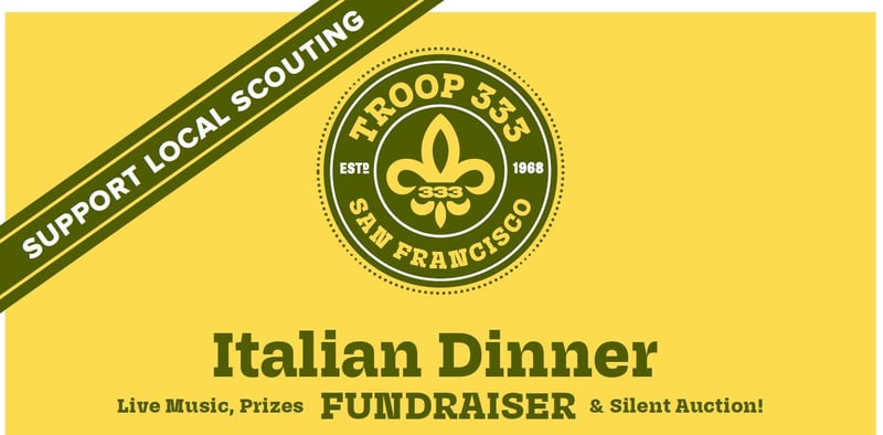 Troop 333 logo with 